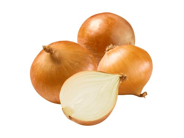 Zwiebeln gelb aus Österreich
