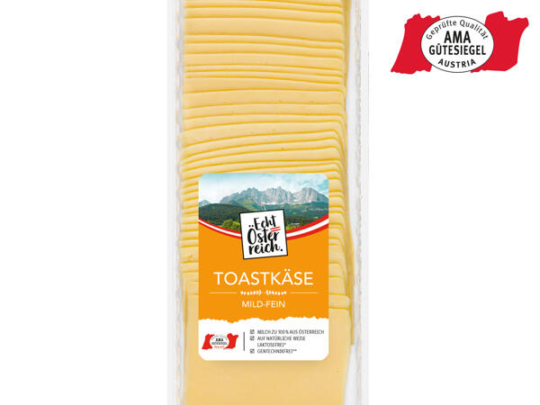 Toastkäse in Scheiben