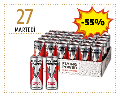 Energy Drink FLYING POWER