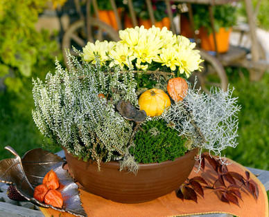 Herbsterwachen