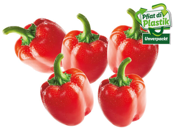 Paprika rot