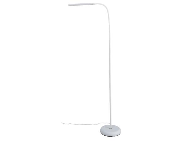 LED Floor Lamp