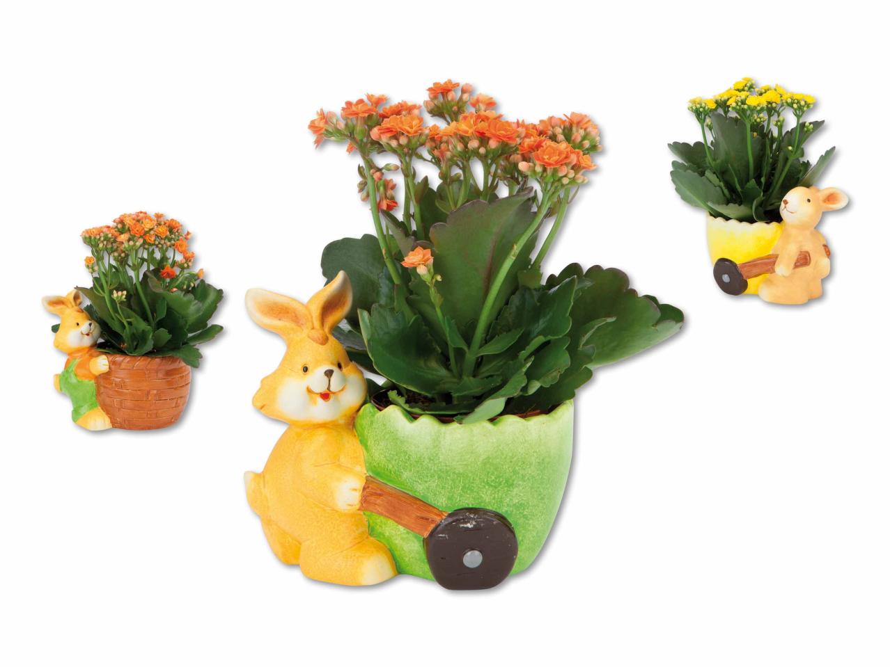 Keramikosterhase