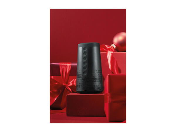 Silvercrest Bluetooth Smart Speaker