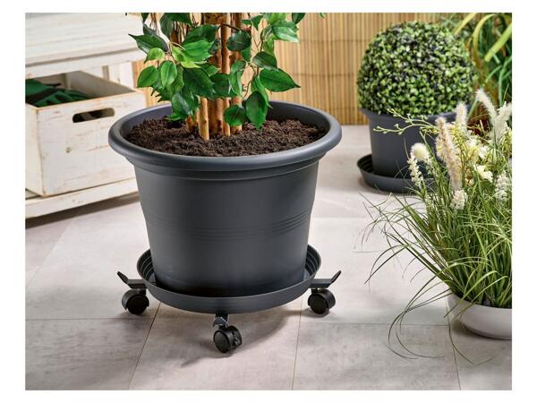 Adjustable plant roller with castors