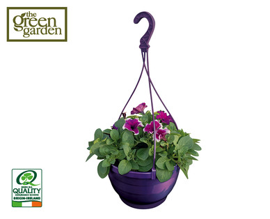 Irish Window Box/Hanger/Planter