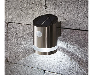 Solar Step or Wall Light