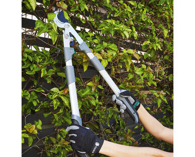 Telescopic Hedge Shears, Anvil Lopper or Bypass Lopper