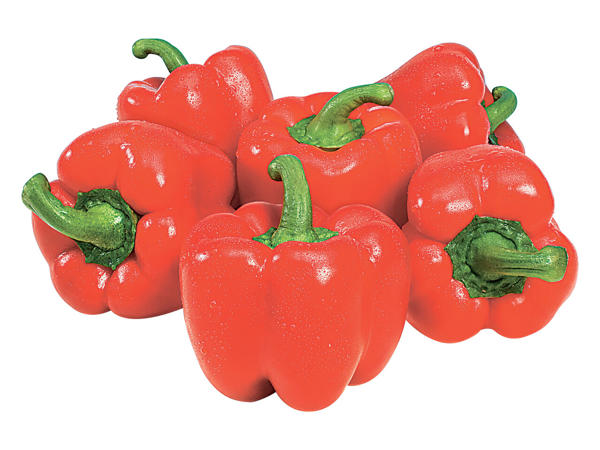 Paprika rot