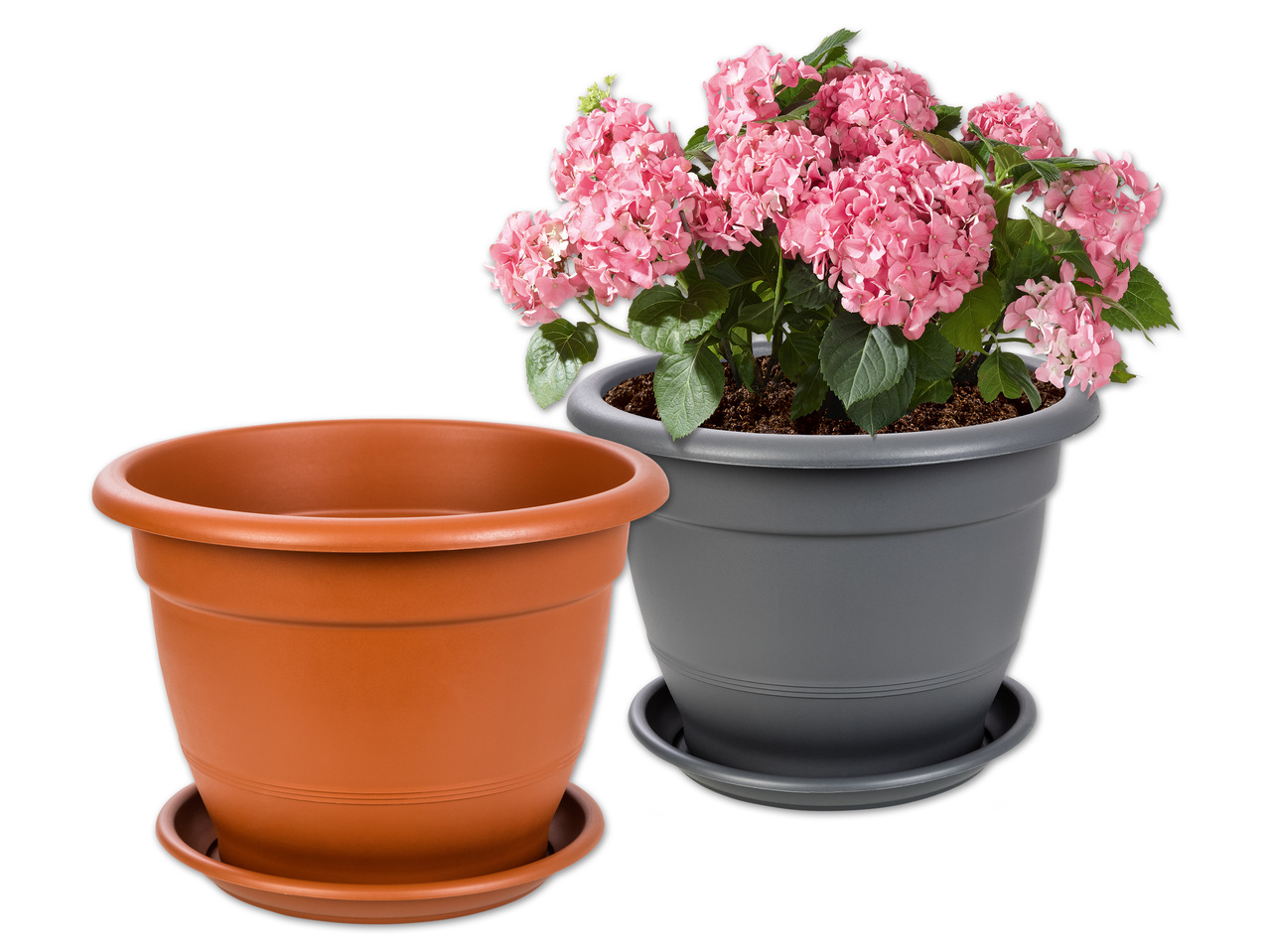 FLORABEST(R) Blumentopf