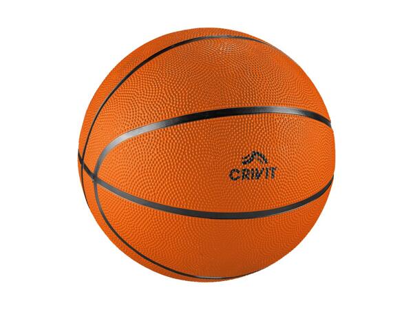 Ball Assortment