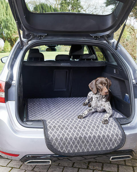 Extra Large Pawprints Pet Boot Mat