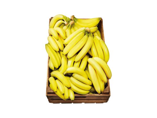 Bananer
