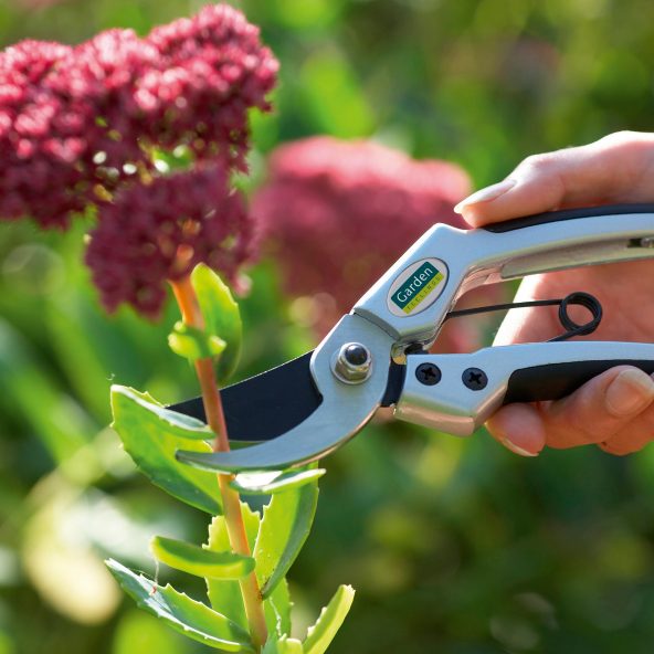 Ergonomisk havesaks