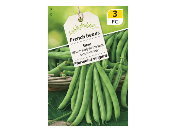 Large Leguminous Vegetable Seeds