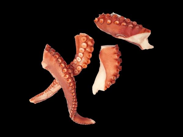 Tentacules de poulpe