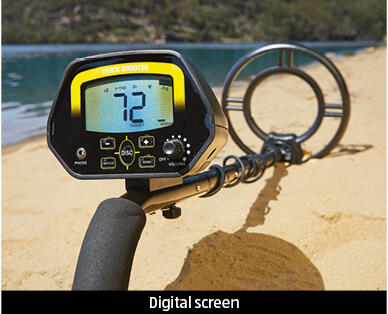 Metal Detector