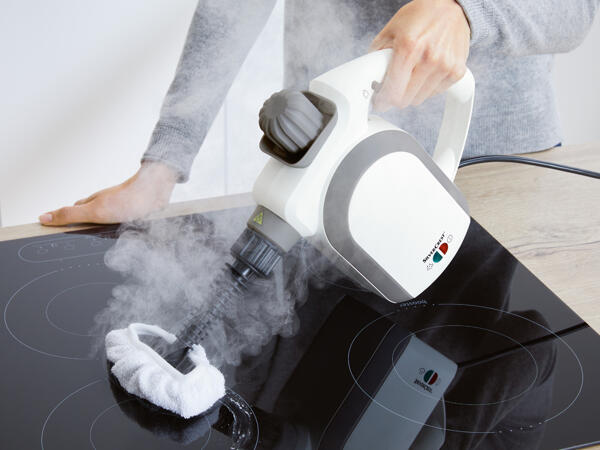 Nettoyeur vapeur à main