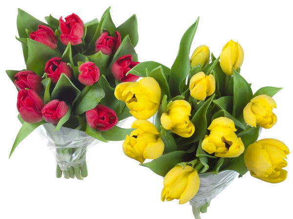 Tulpenstrauß