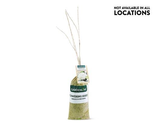 Gardenline 
 Flowering Shrub Assorted Varieties