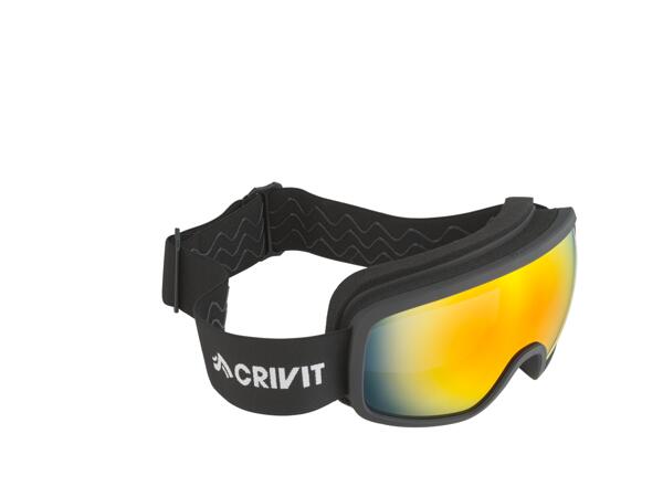 Adult Ski & Snowboarding Goggles
