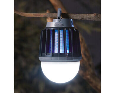 Light with Bug Zapper