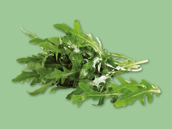 Rucola