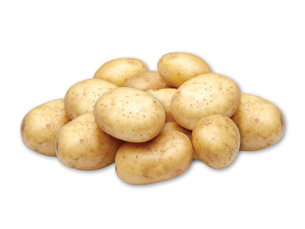 Nye danske lammefjordskartofler
