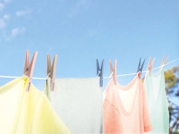 Clothes Pegs