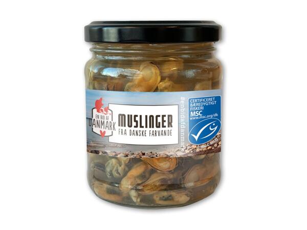Muslinger i lage