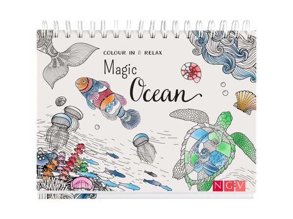 Diary / Drawing Book