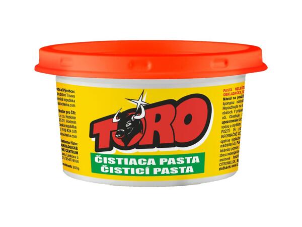 ČISTICÍ PASTA