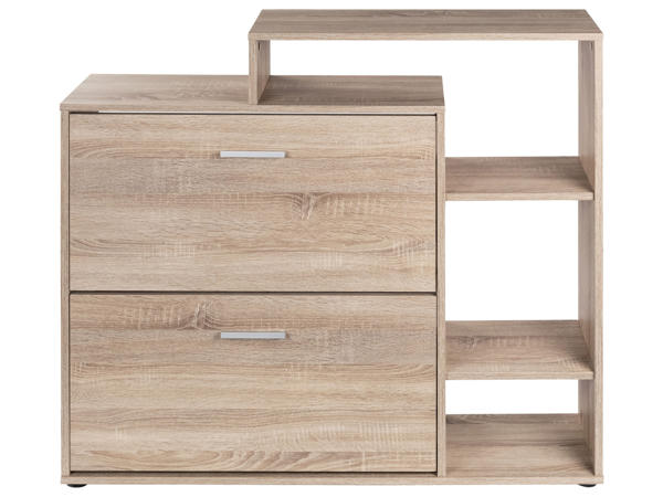 Hallway furniture with shoe closet