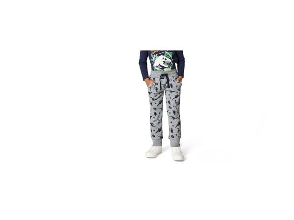 Boys' joggers "Jurassic World, Paw Patrol"