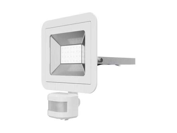 24W LED Outdoor Light