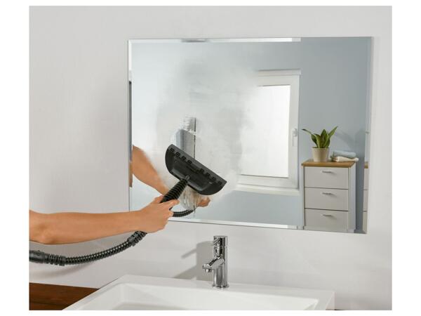 Hand-Held Steam Cleaner