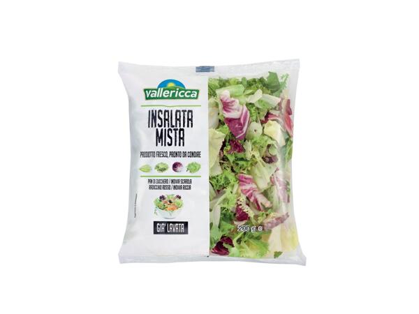 Mixed Salad
