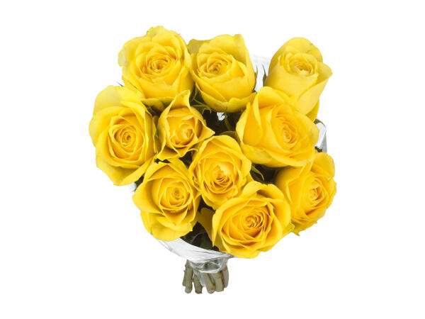 Bunch of Roses
