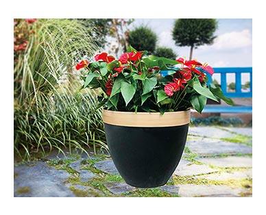 Belavi 
 20" Planter