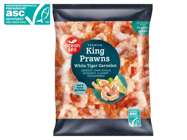 ASC Premium White Tiger Garnelen