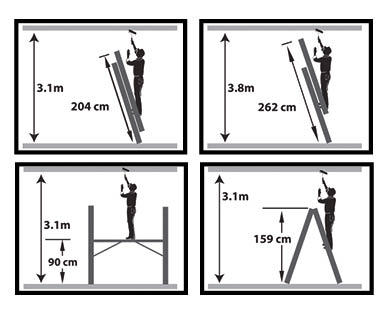 Scaffold and Ladder System
