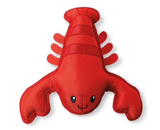 Heart to Tail Floating Pet Toy Assortment
