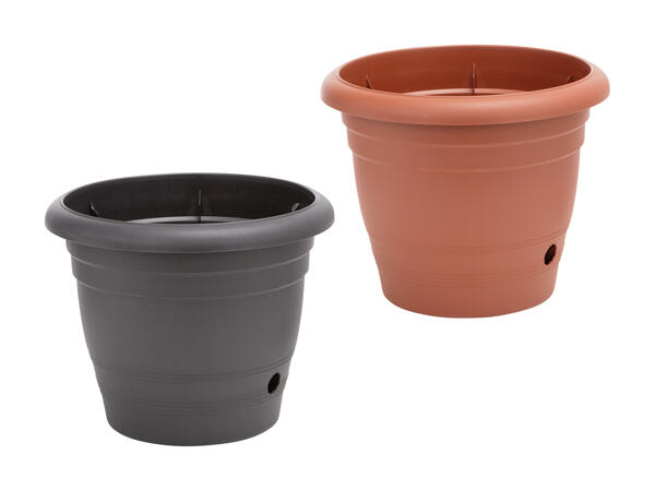 Pot de fleurs