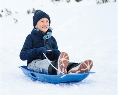 Snow Sled