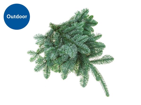 Assorted Seasonal Foliage