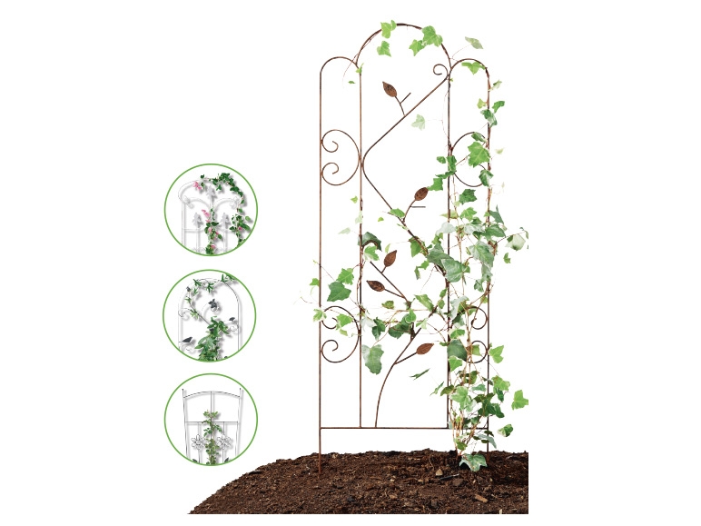 Florabest(R) Metal Plant Trellis