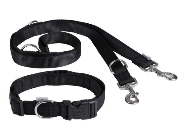 Zoofari Dog Collar & Lead