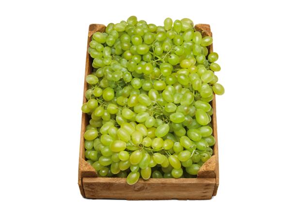 Gröna vindruvor