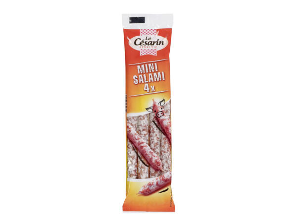 Dauerwürste