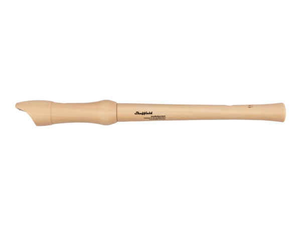 Soprano Recorder / Ukulele Set